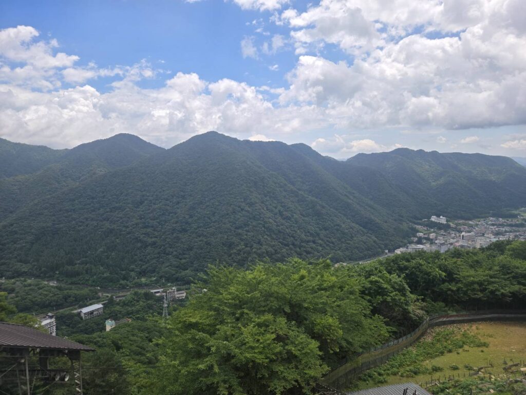 展望台からの景色