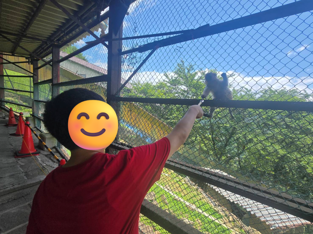 サルへえさやり