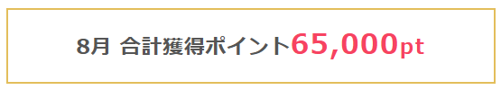 ポイントインカム8月:65,000pt